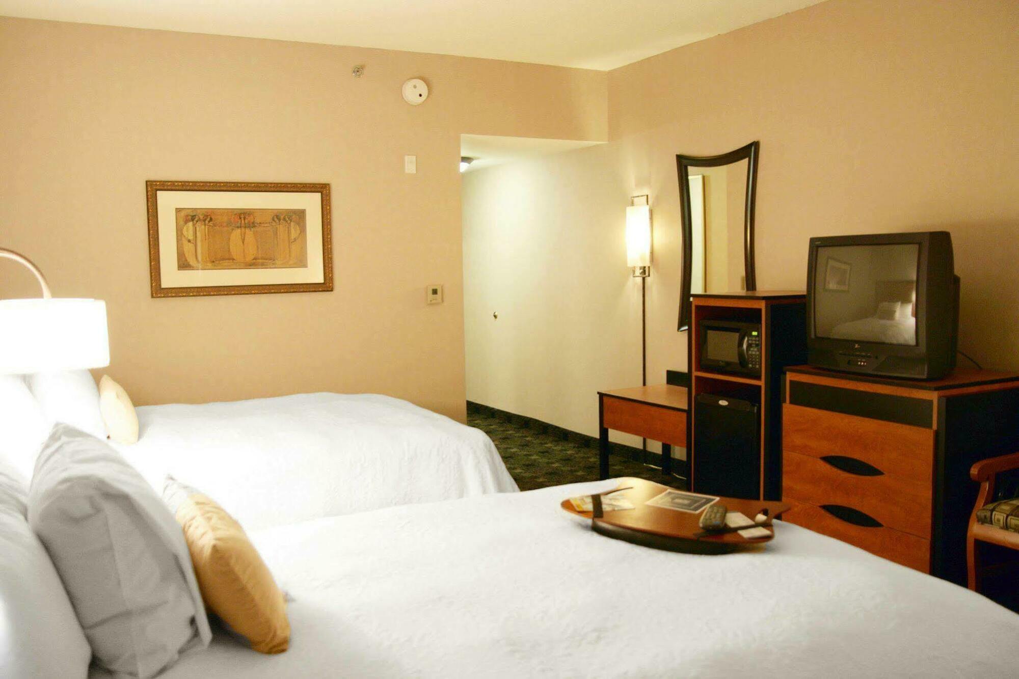 Hampton Inn And Suites Indianapolis-Fishers Rum bild